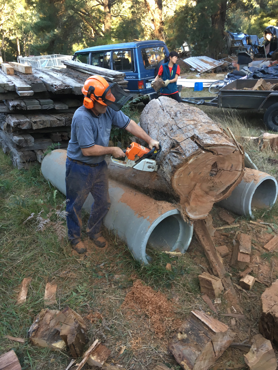 Cutting Wood 5 伐木趣